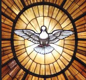 Logo Birmovani Holubice